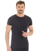 Фото Brubeck Comfort Wool Merino men t-shirt